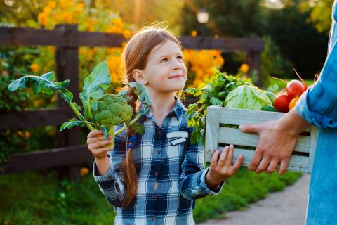 Enfant et alimentation